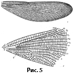 Click to enlarge Highslide JS
