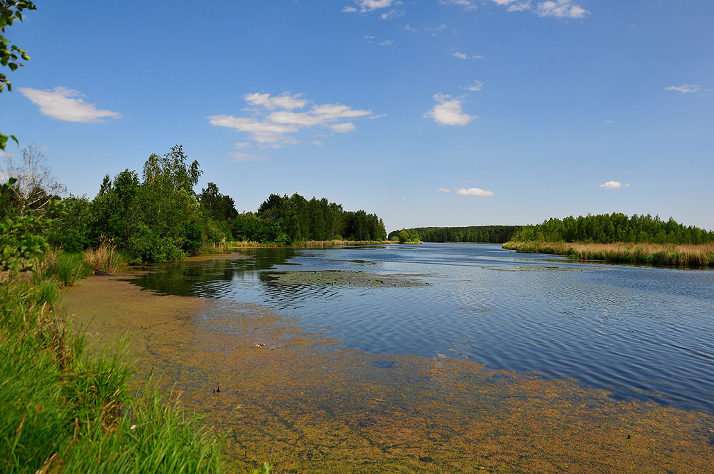 Озера каслинского челябинской области. Озеро большие Касли. Озеро Касли Челябинская. Озеро малые Касли. Озеро большие Касли Челябинская область.