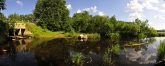 Хвощевое болото у впадения реки Кыштым